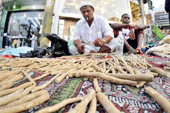 السواك.. فرشاة المسلمين وهدية المعتمرين