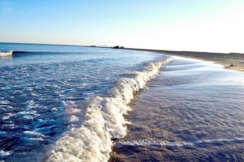 قصة مصورة: عناق التاريخٍ وجمال الطبيعة في تبوك