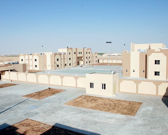 «سعود كونسلت».. سنوات كفاح توجت بإنجازات محلية وإقليمية ودولية