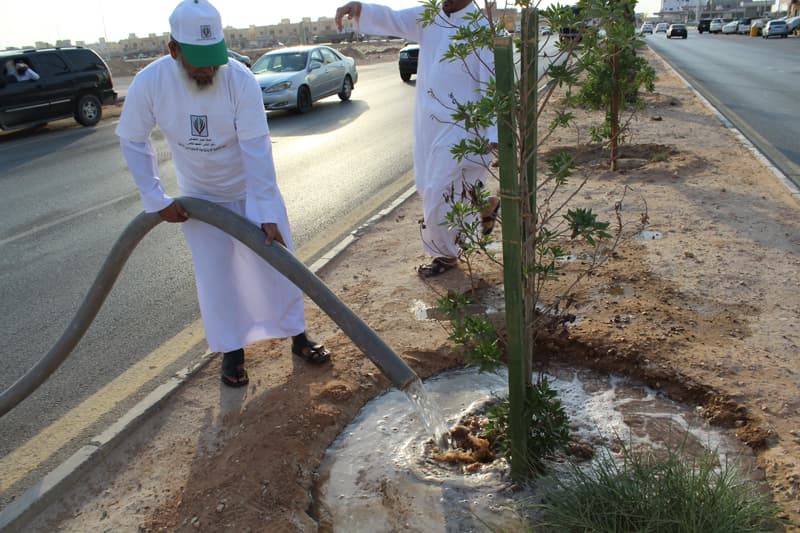 "تطوعي النظيم" يطلق مبادرة "باسقة" لسقي نخيل الحي المهمل