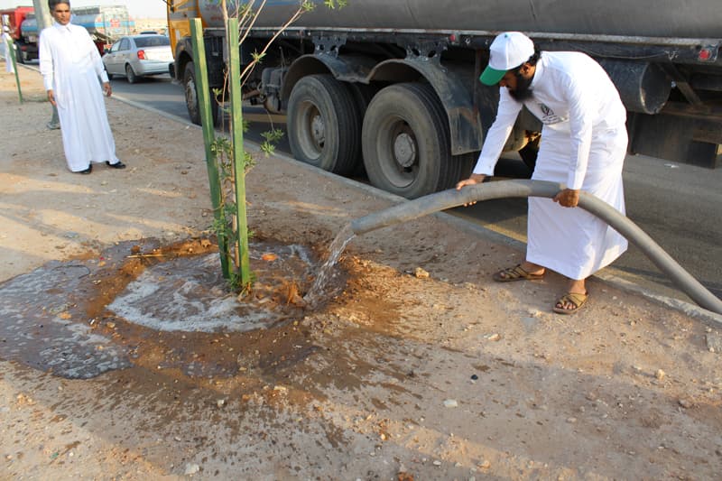 "تطوعي النظيم" يطلق مبادرة "باسقة" لسقي نخيل الحي المهمل