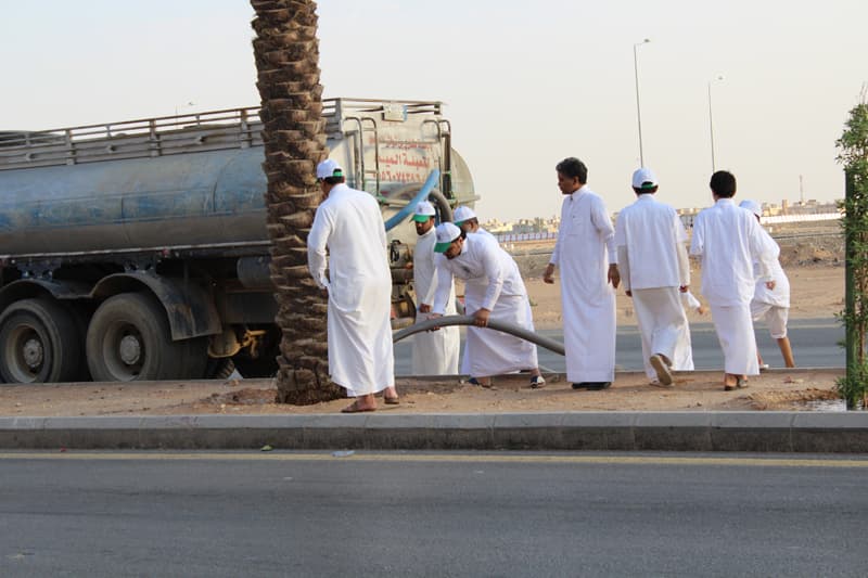 "تطوعي النظيم" يطلق مبادرة "باسقة" لسقي نخيل الحي المهمل