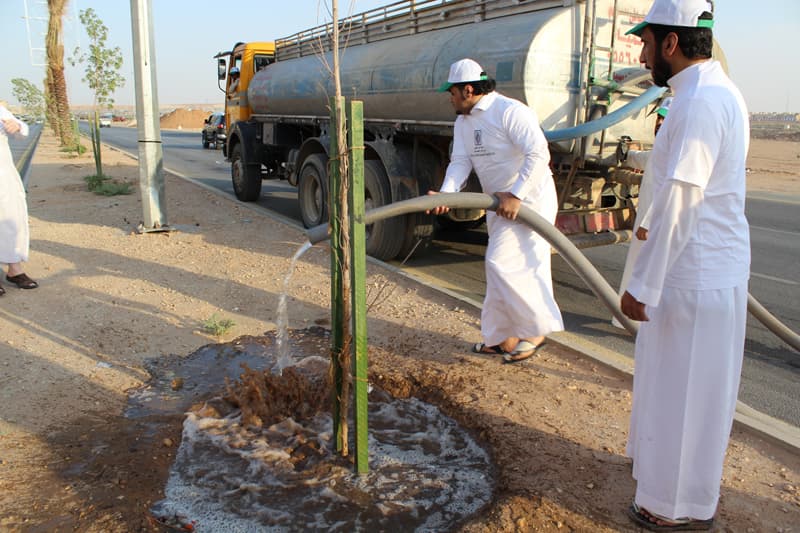"تطوعي النظيم" يطلق مبادرة "باسقة" لسقي نخيل الحي المهمل