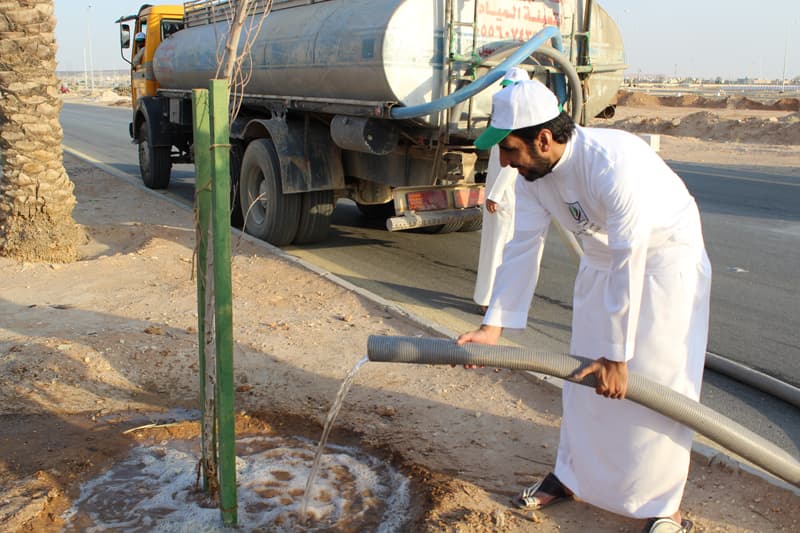 "تطوعي النظيم" يطلق مبادرة "باسقة" لسقي نخيل الحي المهمل