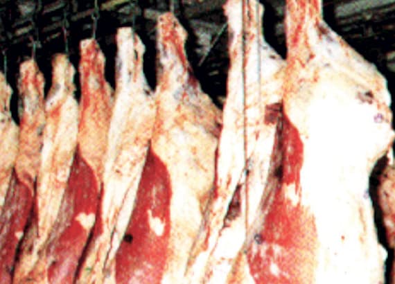 «مجموعة فهد الرشيد» .. 15 شركة متخصصة ونجاح متواصل في الأصعدة كافة