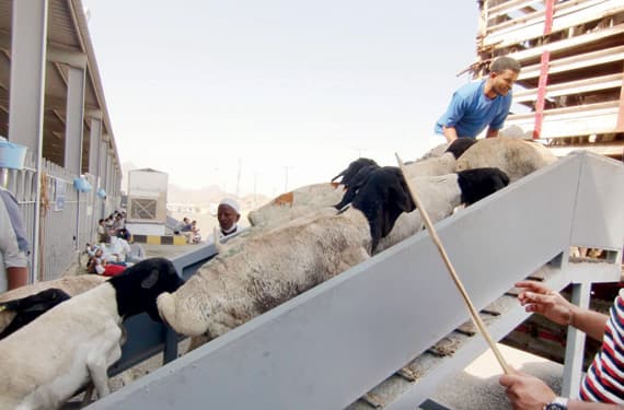 شركة أبناء مزيد سفر الشلوي .. شراكة حقيقية مع مجموعة البنك الإسلامي للتنمية