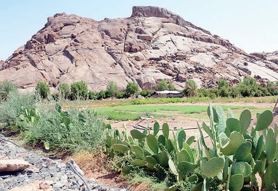 «عقدة» .. حصن تاريخي وطبيعة سياحية جاذبة