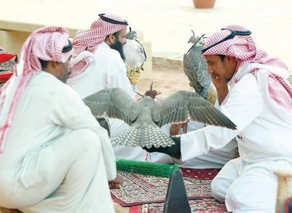 سوق جديدة للصقور تشمل
 عيادات كاملة في العاصمة