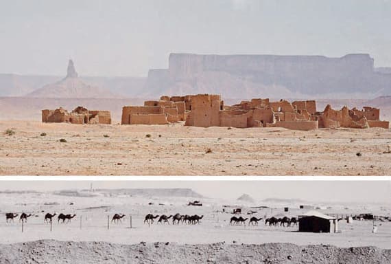 عدسات عالمية ترصد حياة السعوديين