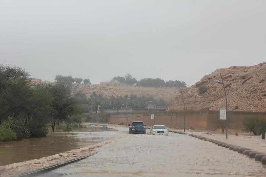 قصة مصورة : الرياض .. المطر .. البهجة