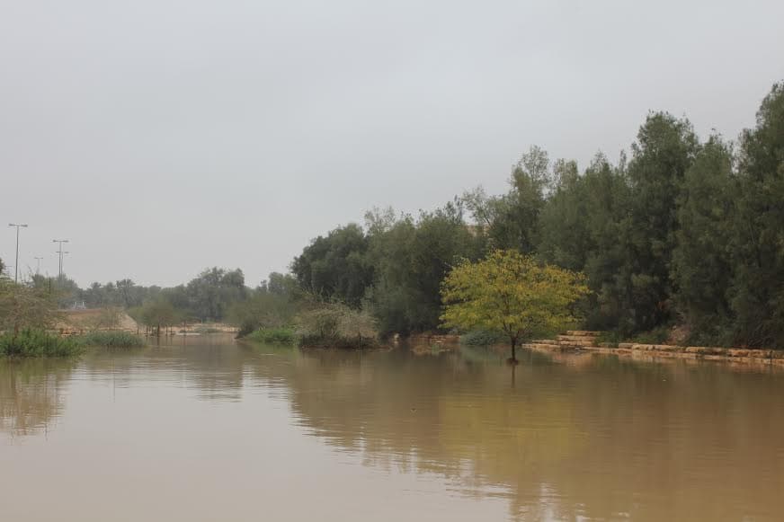 قصة مصورة : الرياض .. المطر .. البهجة