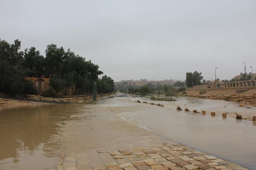 قصة مصورة : الرياض .. المطر .. البهجة