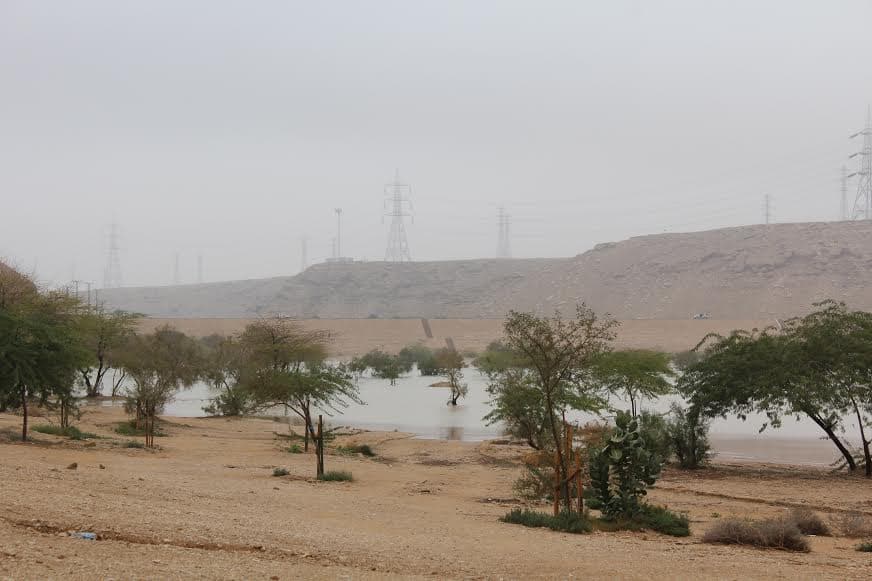 قصة مصورة : الرياض .. المطر .. البهجة