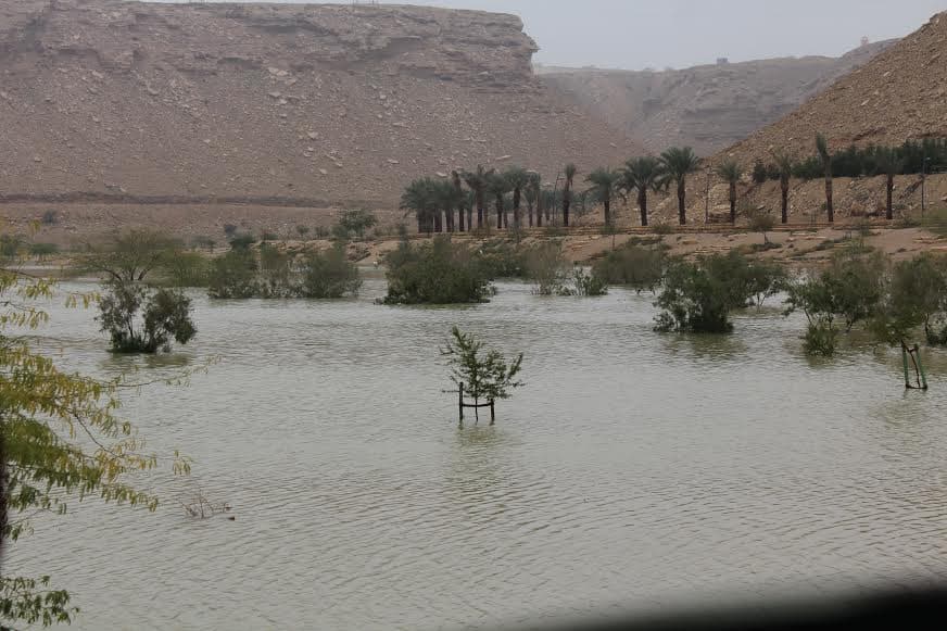 قصة مصورة : الرياض .. المطر .. البهجة