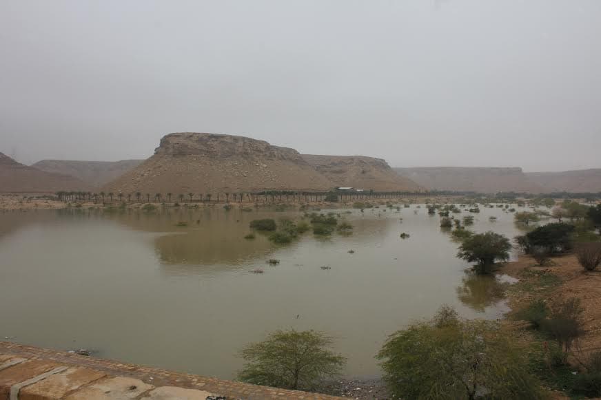 قصة مصورة : الرياض .. المطر .. البهجة