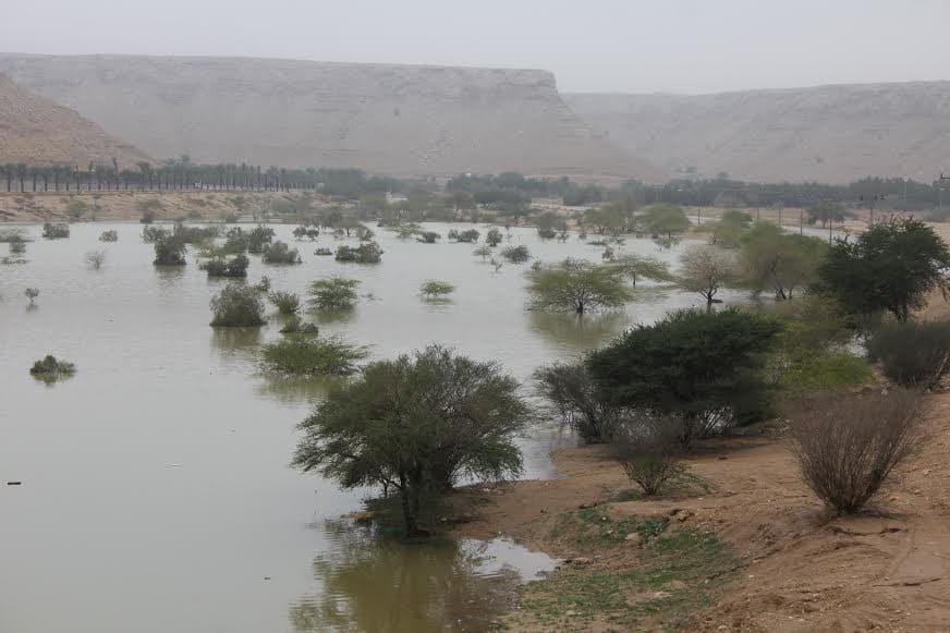 قصة مصورة : الرياض .. المطر .. البهجة