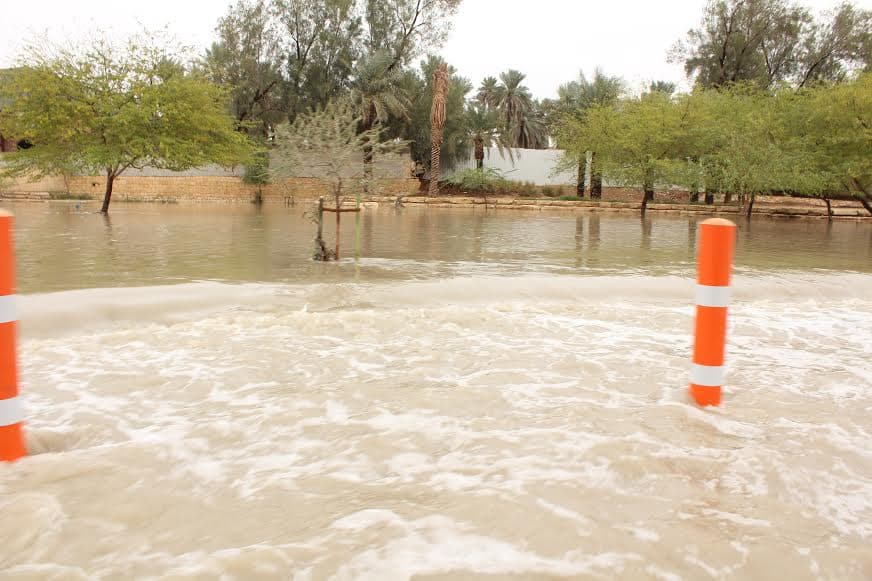 قصة مصورة : الرياض .. المطر .. البهجة