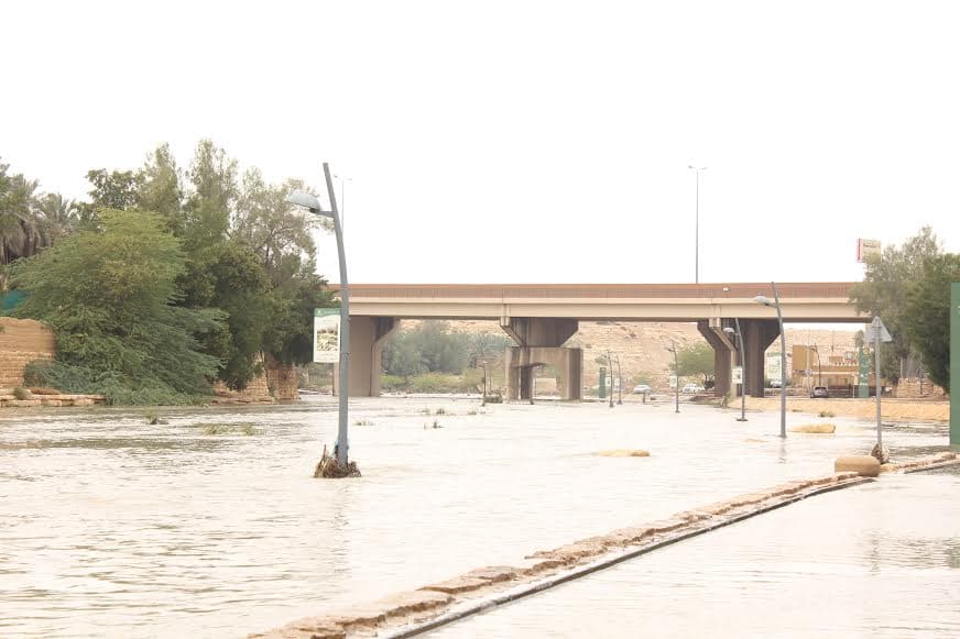 قصة مصورة : الرياض .. المطر .. البهجة