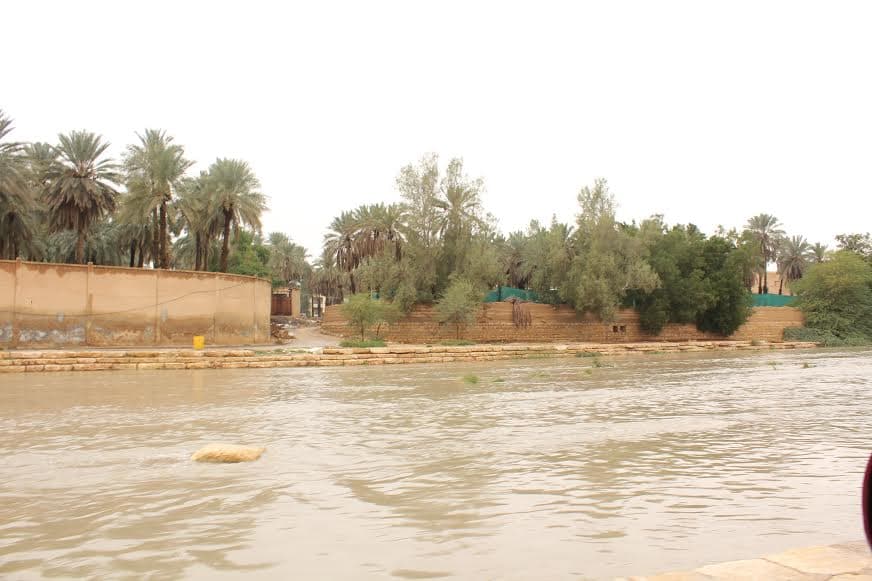 قصة مصورة : الرياض .. المطر .. البهجة