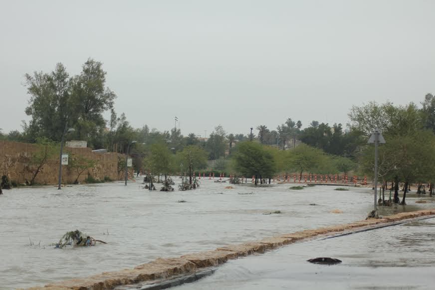 قصة مصورة : الرياض .. المطر .. البهجة