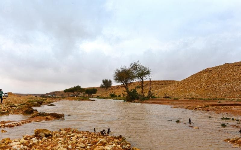 قصة مصورة : الرياض .. المطر .. البهجة
