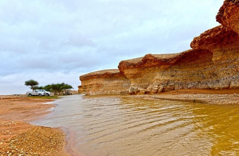 قصة مصورة : الرياض .. المطر .. البهجة