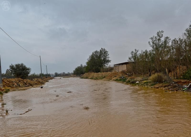 قصة مصورة : الرياض .. المطر .. البهجة