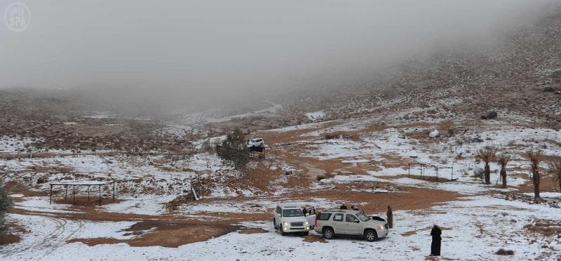 قصة مصورة: تساقط الثلوج على تبوك