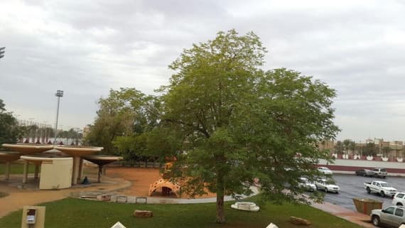 قصة مصورة : صور تويتر تكشف بهجة الناس بهطول المطر