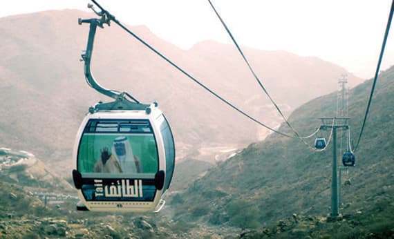 غياب الإحصائيات الدقيقة لأعداد السياح  في الطائف