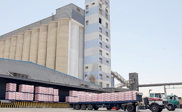 890 ألف طن من القمح تصل السعودية حتى أغسطس