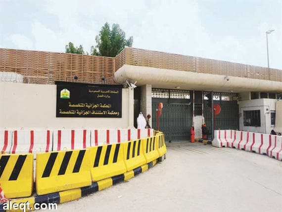 استكمال الأحكام على خلية النخيل.. سجن 14 ورد الدعوى ضد اثنين