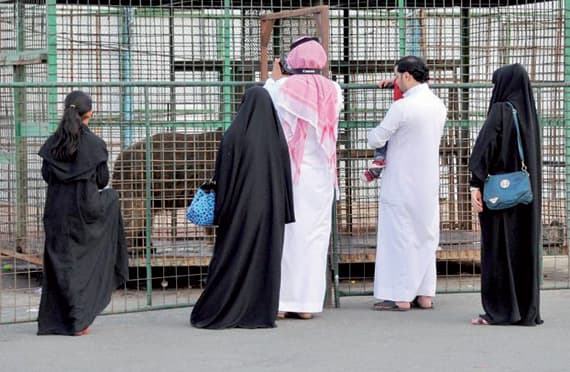 أكبر حديقة حيوان متنقلة في الشرق الأوسط تجذب زوار الباحة