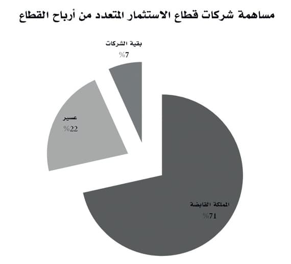 قطاع الاستثمار المتعدد يحقق أعلى أرباح ربعية منذ 6 سنوات