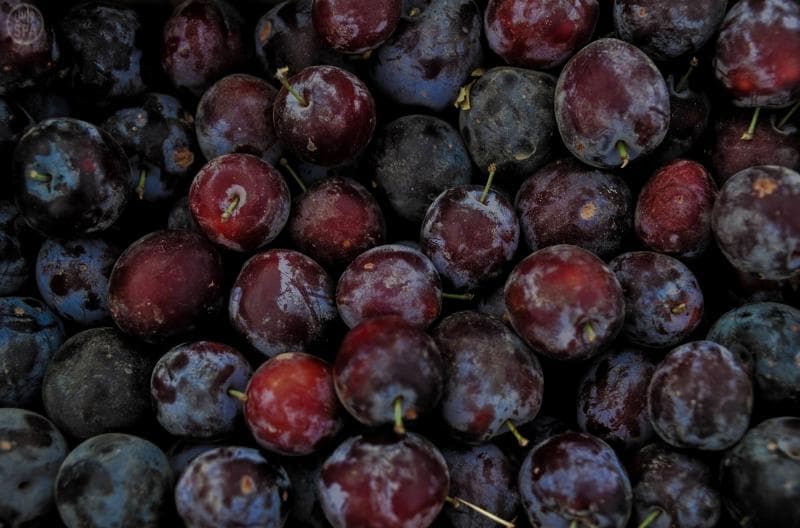 مزارع الباحة تنثر خيراتها في أسواق المنطقة