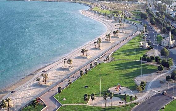 القطيف : القصاص من مواطن قتل آخر بدعسه بسيارته