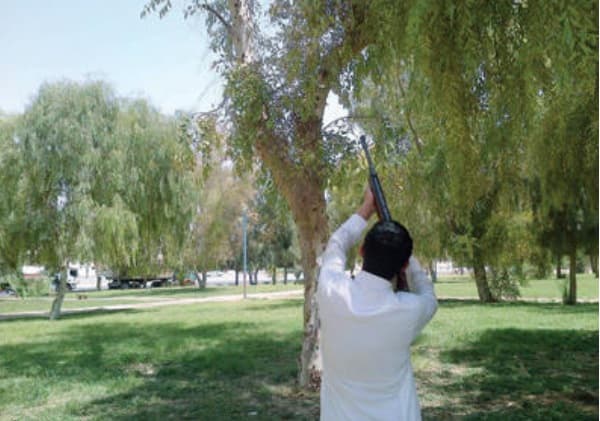 رحلة صيد تنتهي بمقتل شاب في رفحاء