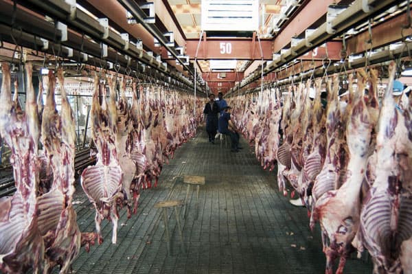 مؤسسة عادل الحربي تسهم 
في تأمين واستقرار السوق المحلية بزيادة حصتها من الاستيراد