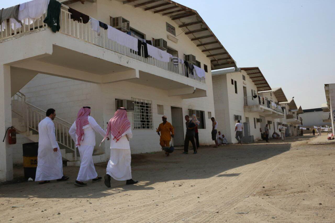 العمل:  استمرار أعمال التفتيش والزيارات الميدانية داخل المشاعر