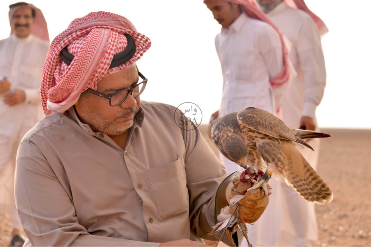 قصة مصورة : صحراء الحمّاد.. ملتقى الصقور الثمينة