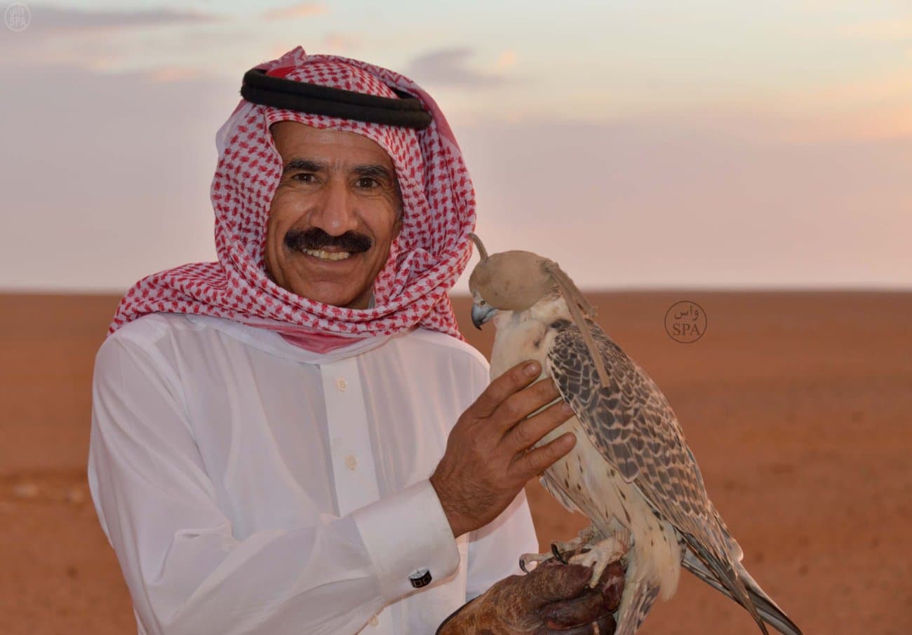 قصة مصورة : صحراء الحمّاد.. ملتقى الصقور الثمينة