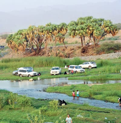 «الفطيحة» من أجمل أودية جازان