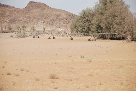 الصك المشاع تعتمده «العدل»
ولا تعترف به «البلديات» و«الكهرباء»