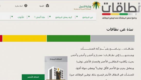 "العمل" تستحدث 9 أنشطة اقتصادية جديدة في برنامج نطاقات