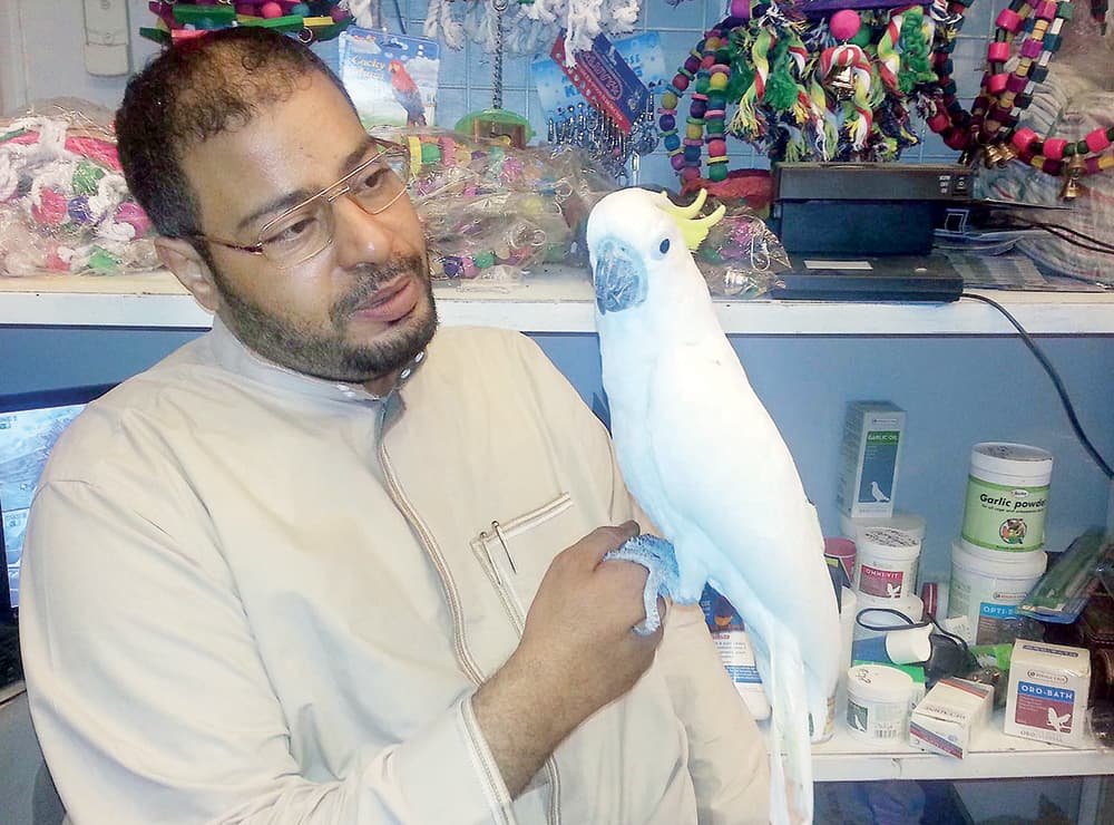 29 ألف ريال ثمنا لببغاء أمازوني في سوق طيور مكة
