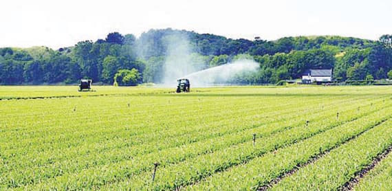 السعودية تستهدف روسيا في استثماراتها الزراعية بالخارج