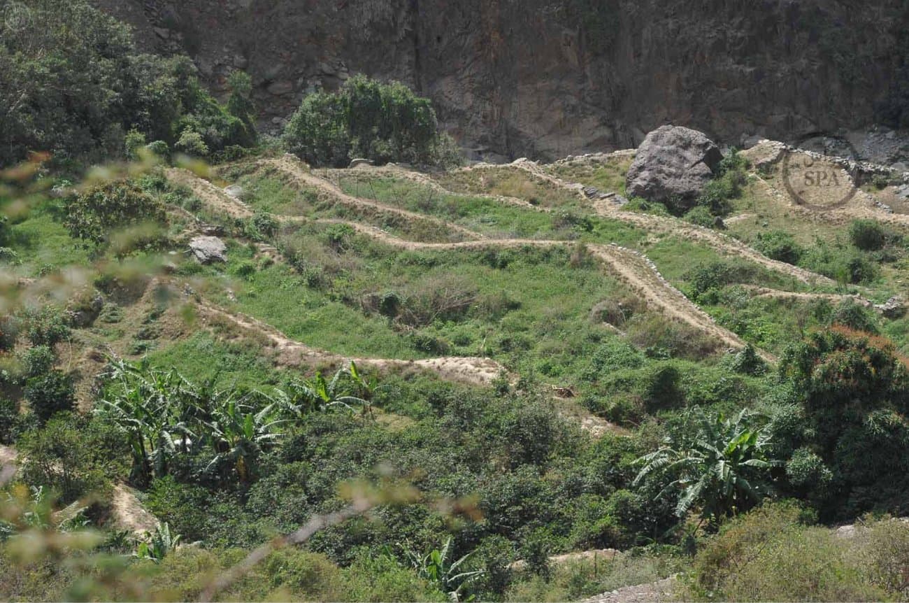 قصة مصورة: الطبيعة الجبلية في الداير بني مالك تبتهج بمهرجان البُن الثاني في جازان