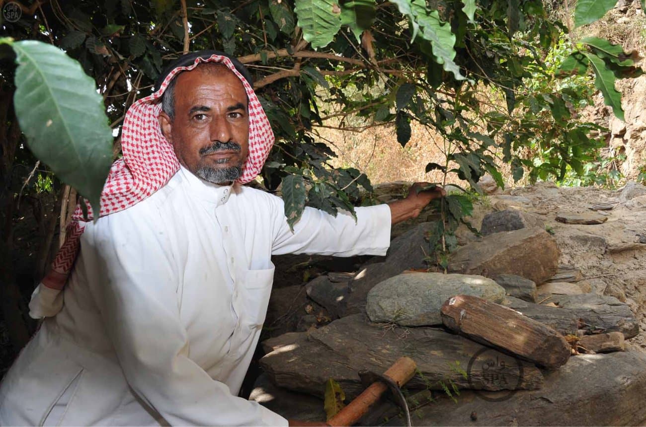 قصة مصورة: الطبيعة الجبلية في الداير بني مالك تبتهج بمهرجان البُن الثاني في جازان