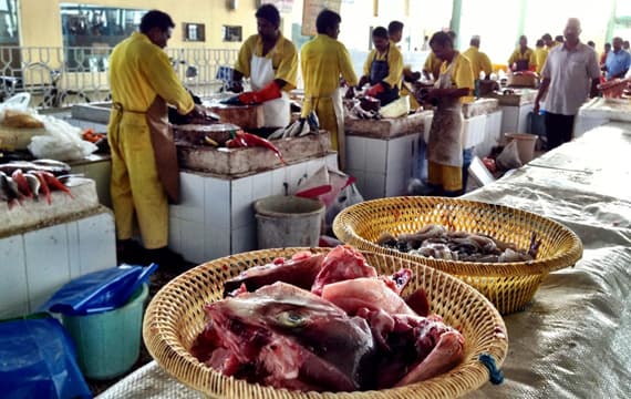 بلدية الخبر تتلف 1145 كيلو جرام من الأسماك