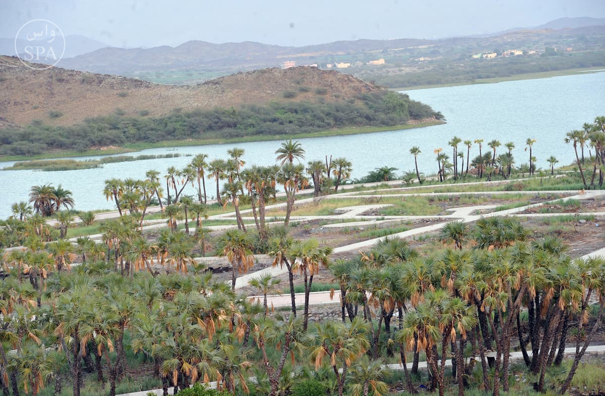 قصة مصورة : منتزه بحيرة السد .. منتجع سياحي بارز في أبوعريش